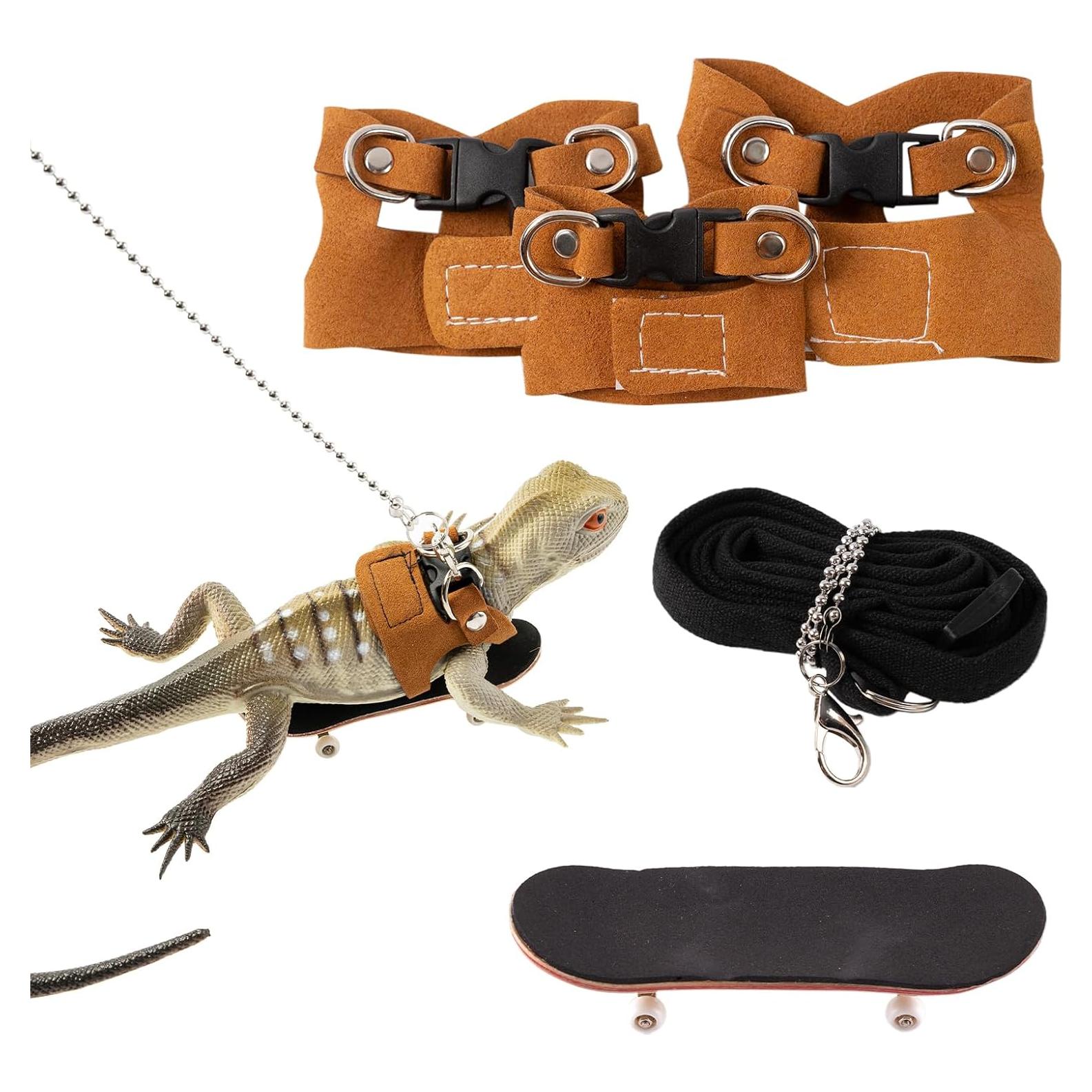 Conjunto Correa y Arnés Dragón Barbudo Swirge - 3 Tamaños