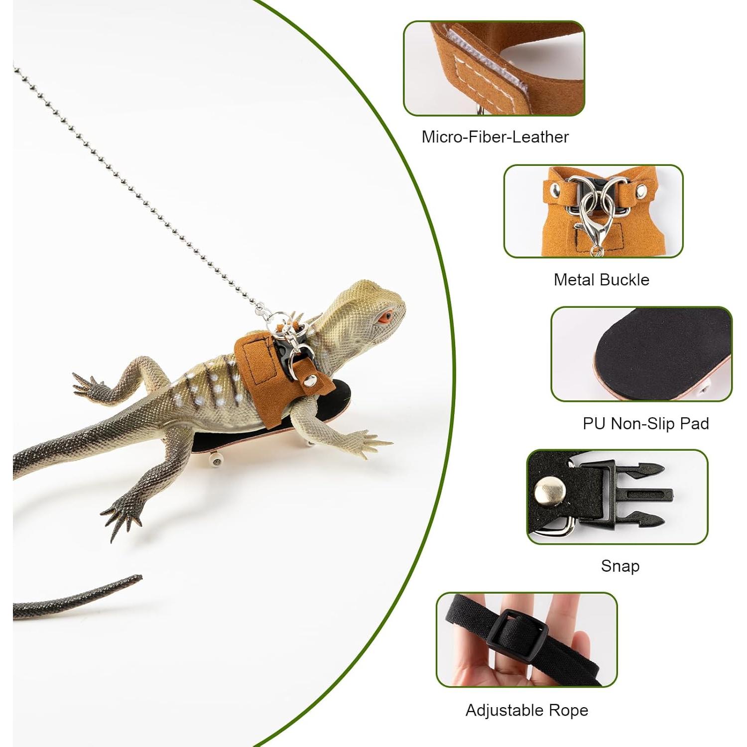 Conjunto Correa y Arnés Dragón Barbudo Swirge - 3 Tamaños