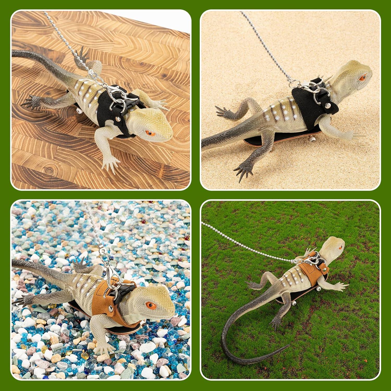 Conjunto Correa y Arnés Dragón Barbudo Swirge - 3 Tamaños