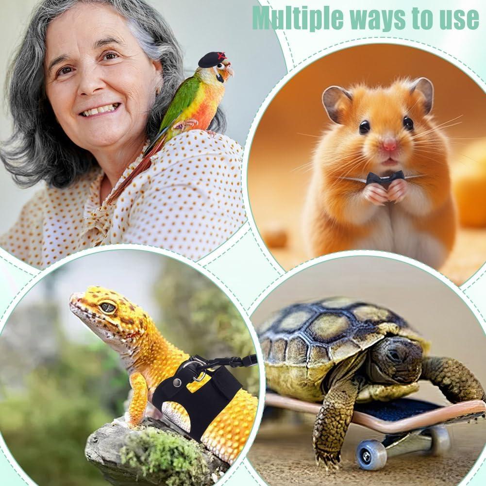 Conjunto Arnés y Correa OLYCRAFT para Dragón Barbudo - 3 Tamaños