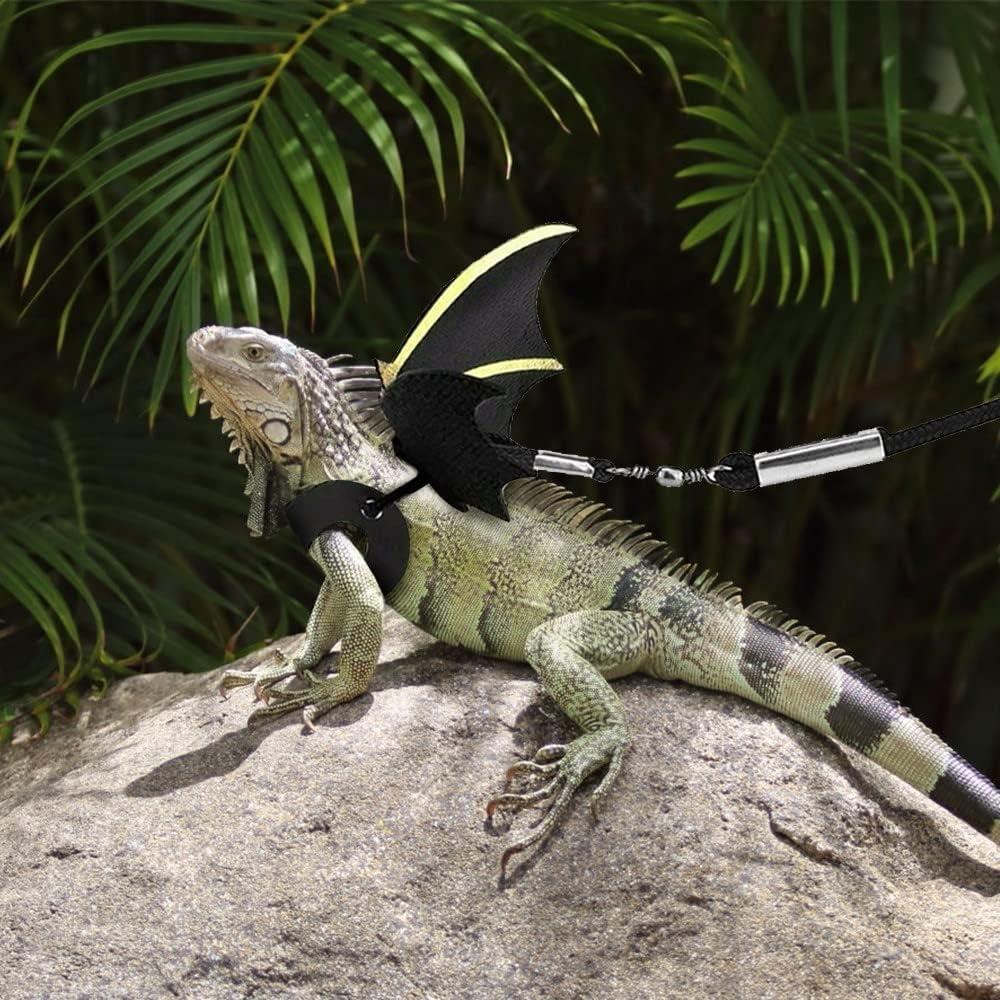 Arnés Ajustable para Lagarto Dragón Barbudo DONGKER - 3 Tamaños
