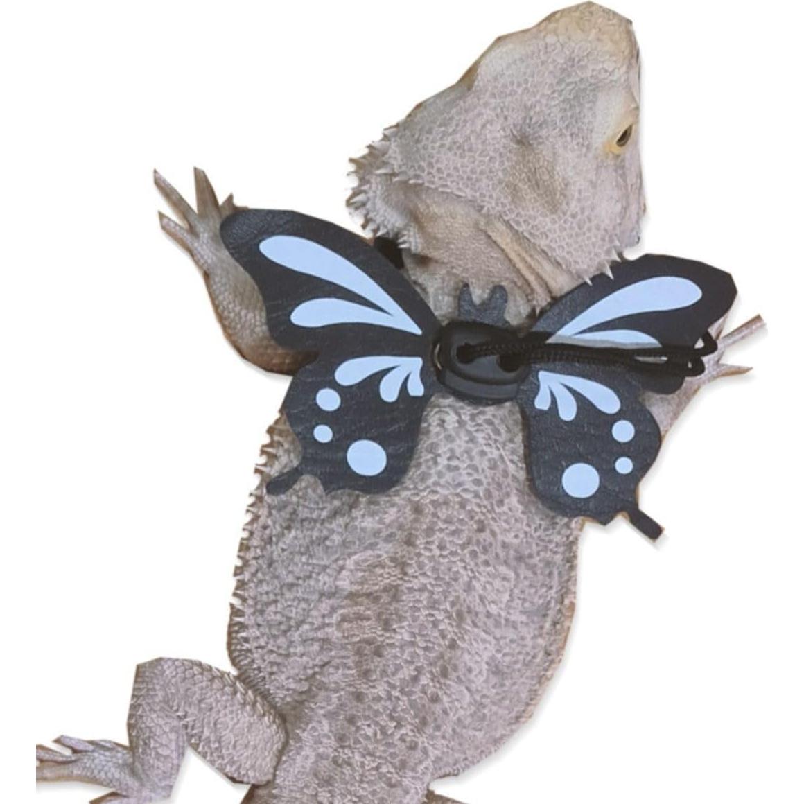 Set Arnés y Correa para Dragón Barbudo Copfeu - 3 Tamaños Ajustables