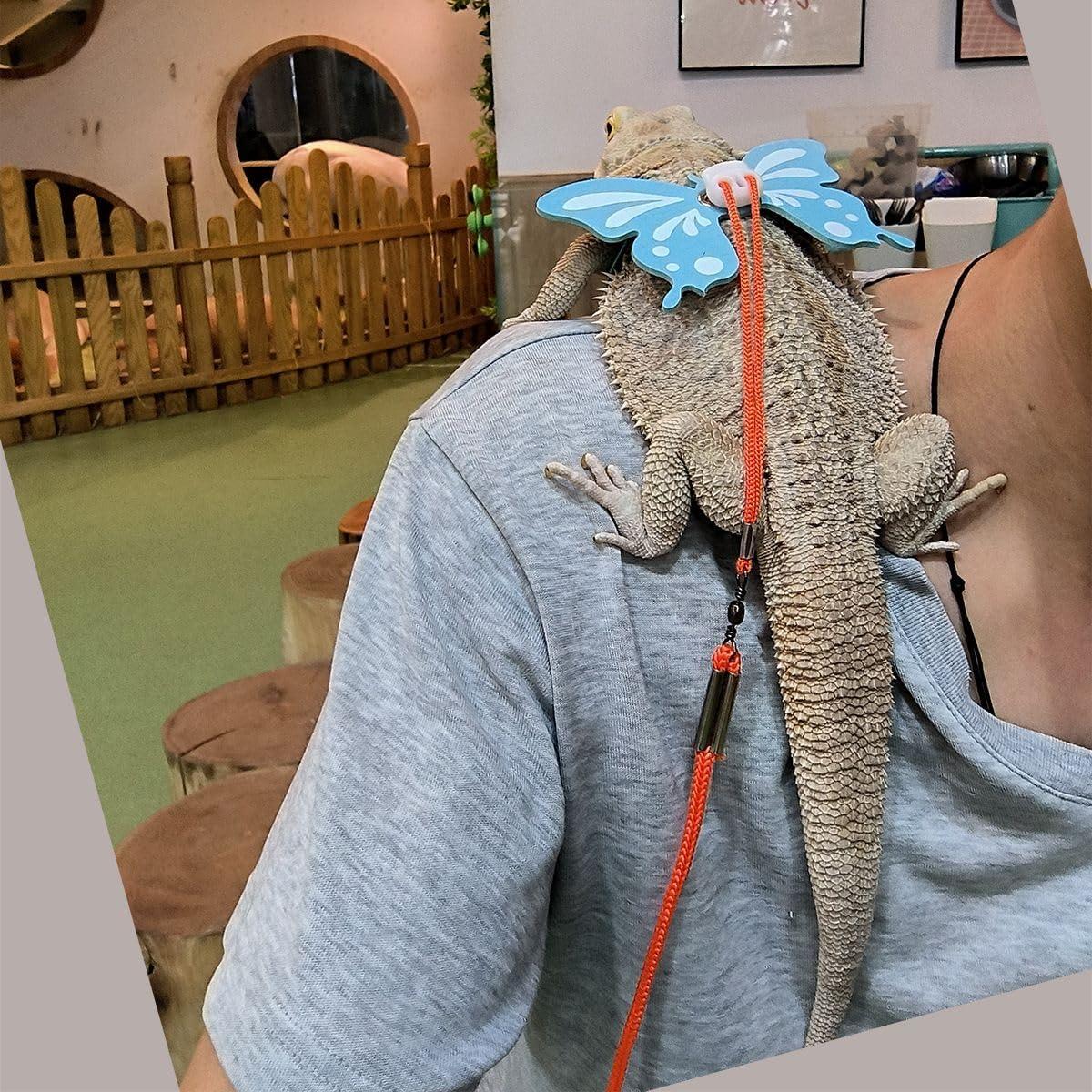 Set Arnés y Correa para Dragón Barbudo Copfeu - 3 Tamaños Ajustables