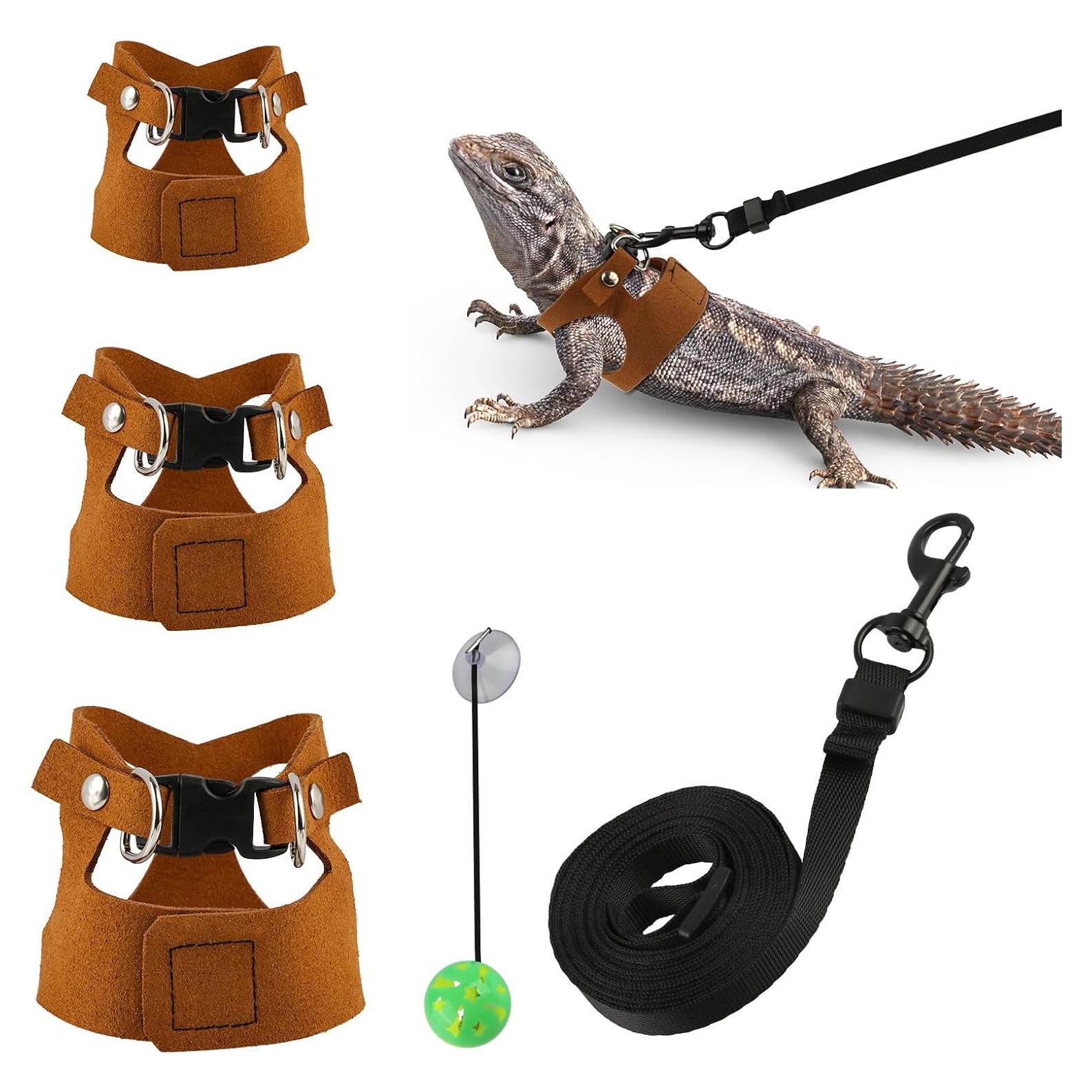 Juego de Arnés y Correa para Dragón Barbudo Muomdid 4 Piezas