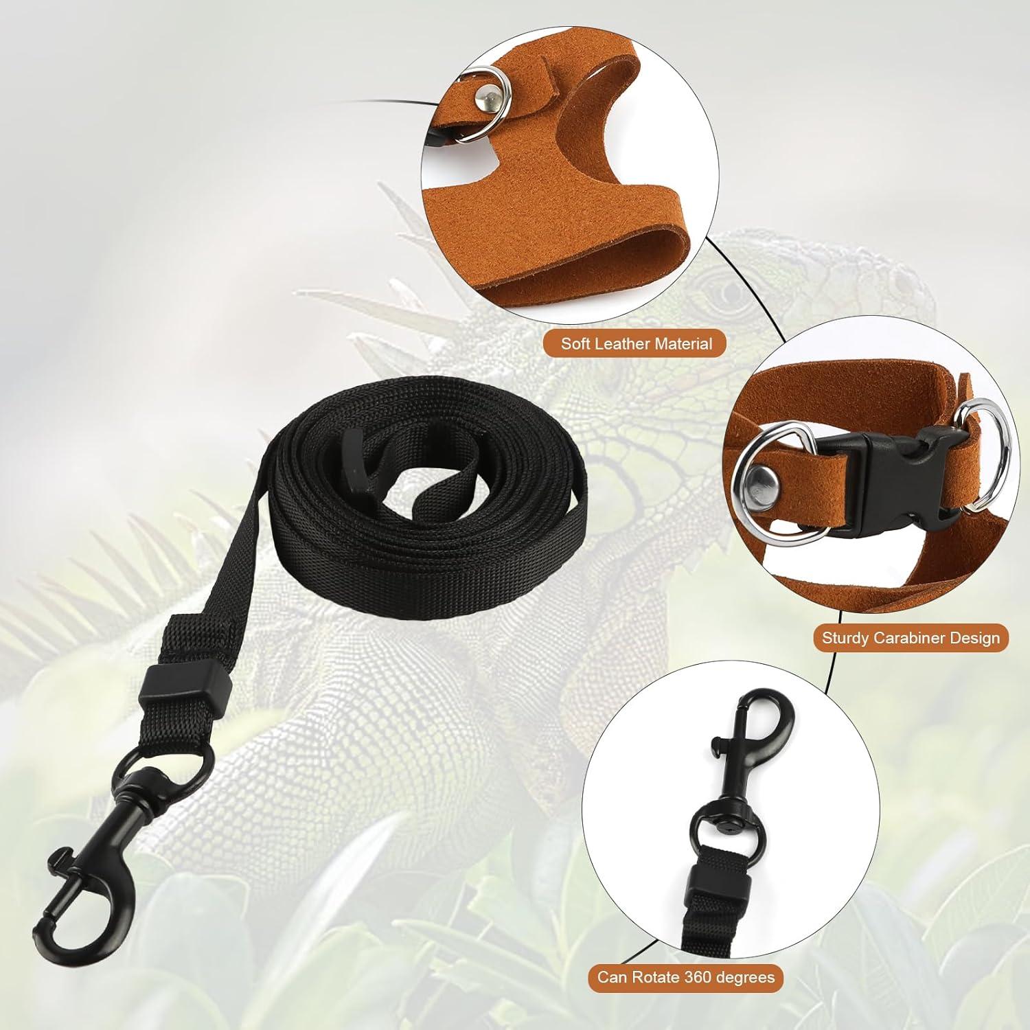 Juego de Arnés y Correa para Dragón Barbudo Muomdid 4 Piezas