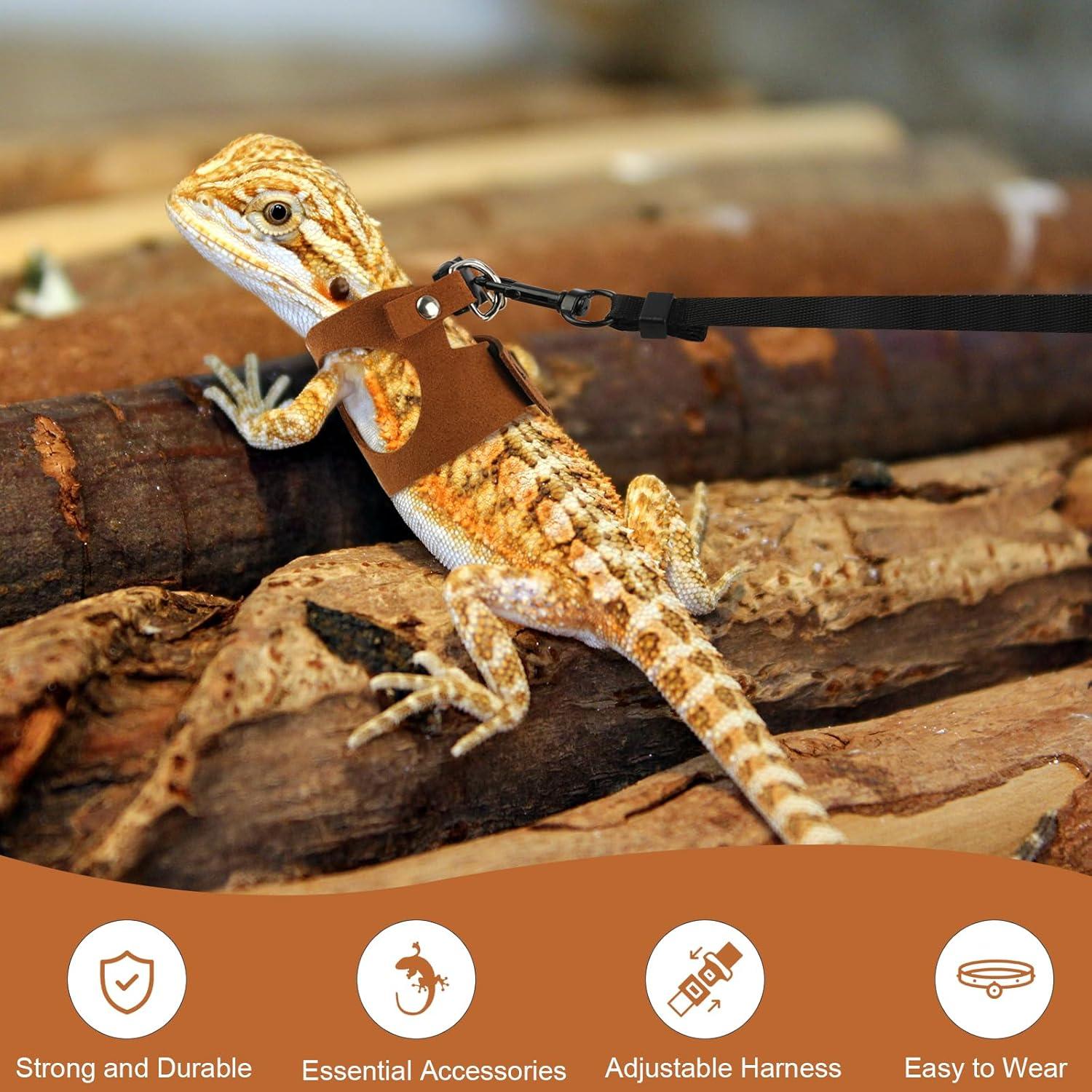 Juego de Arnés y Correa para Dragón Barbudo Muomdid 4 Piezas