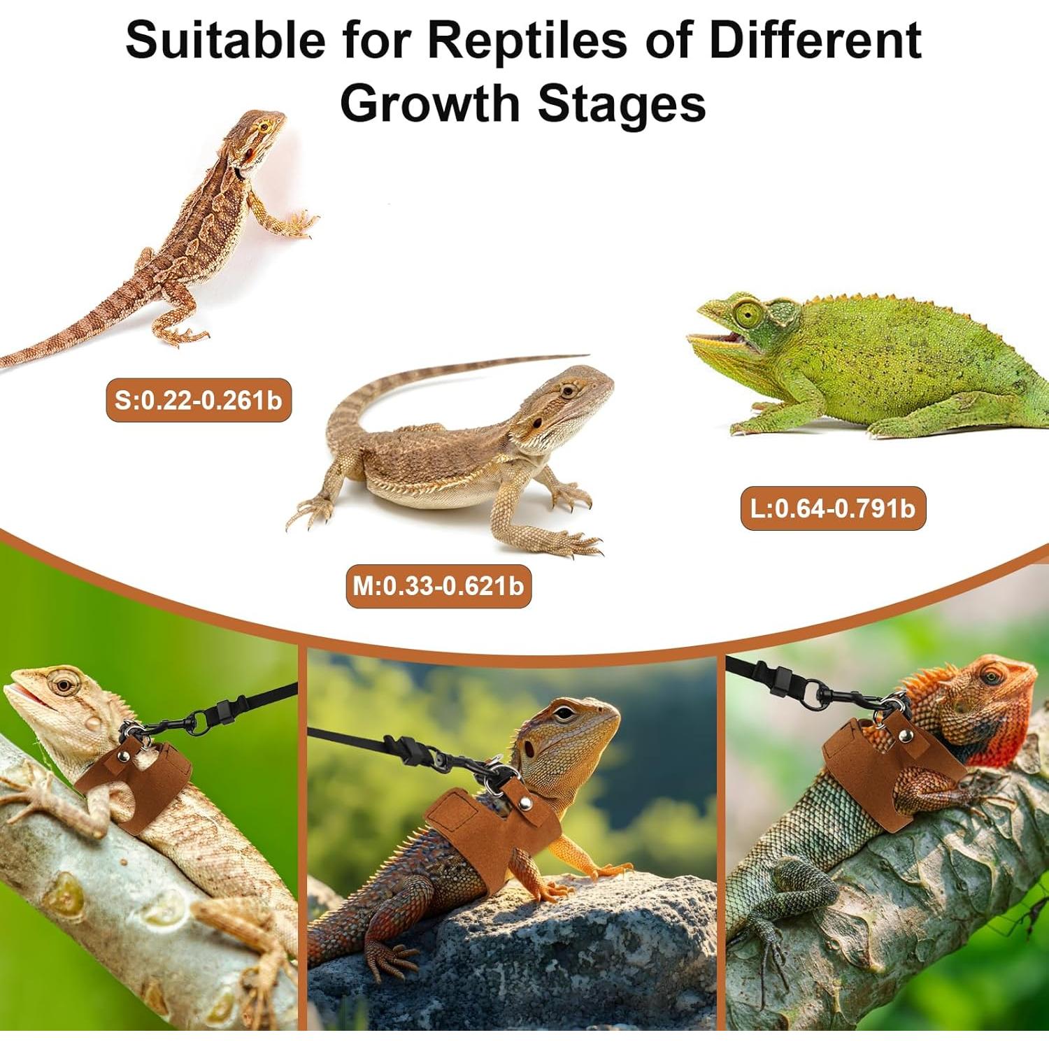 Juego de Arnés y Correa para Dragón Barbudo Muomdid 4 Piezas