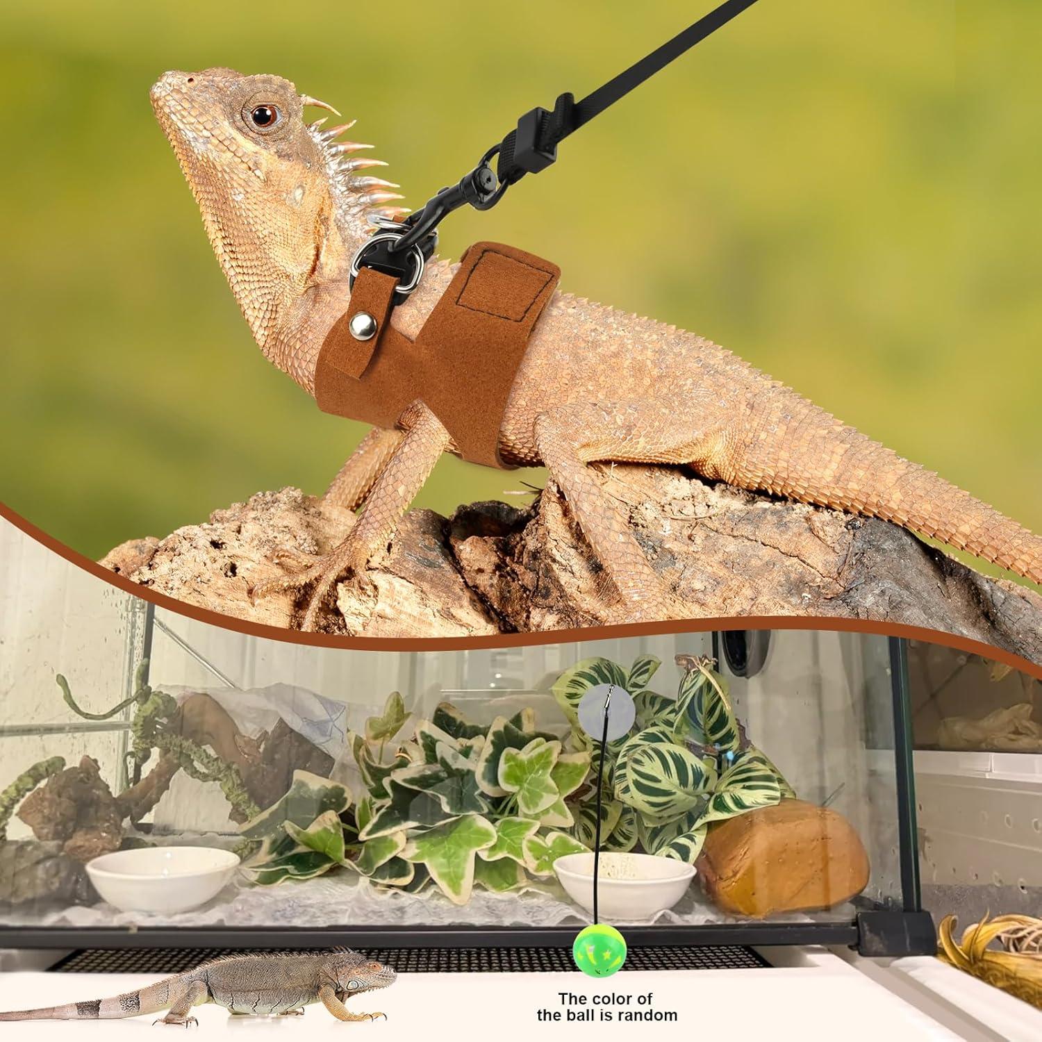 Juego de Arnés y Correa para Dragón Barbudo Muomdid 4 Piezas