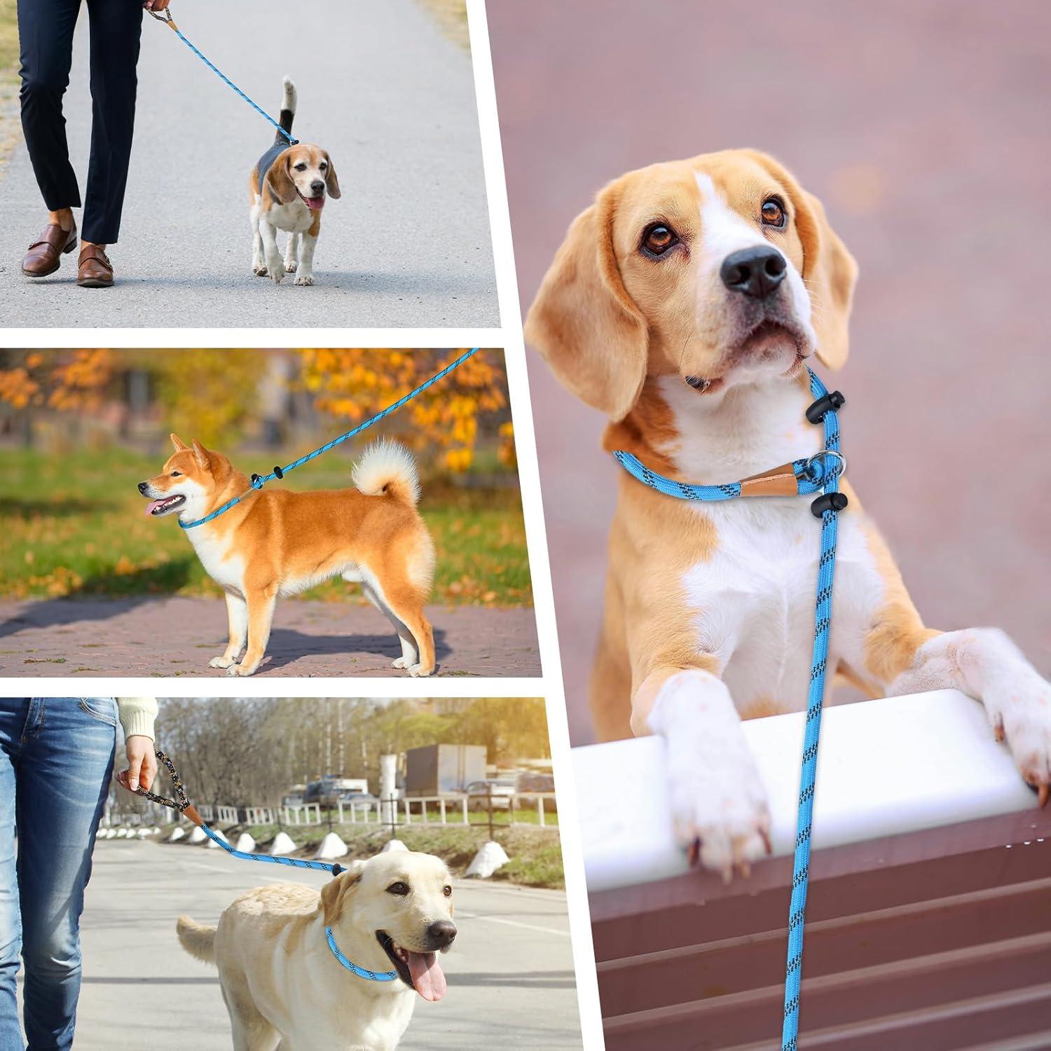 Correa deslizante Lynxking para perros grande 1.27cm x 182.88cm