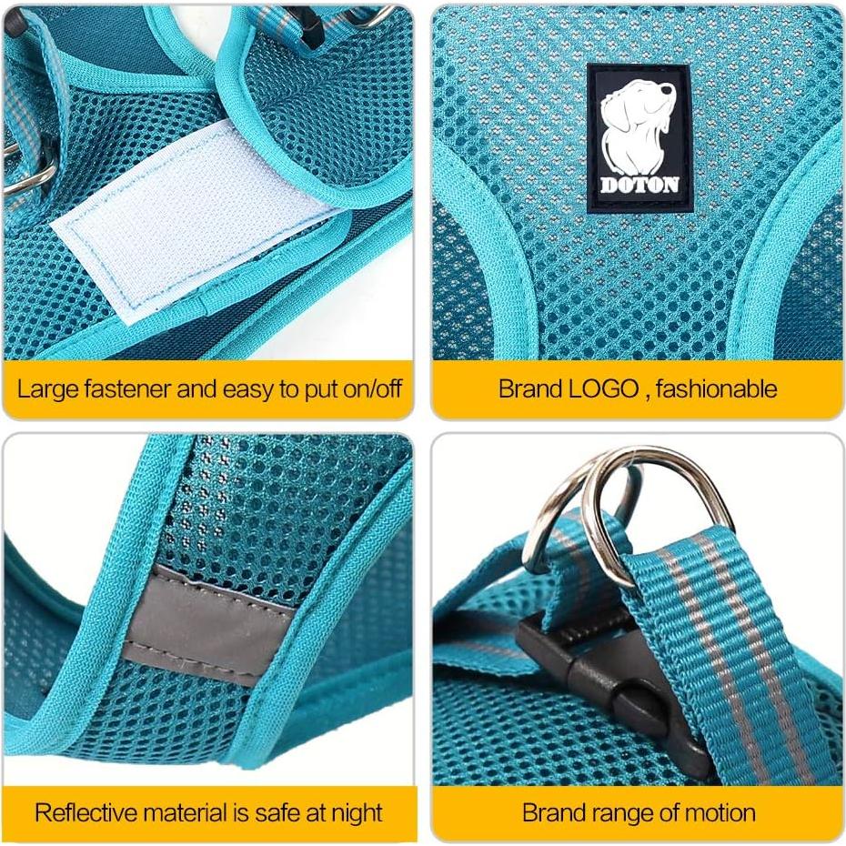 Arnés y Correa para Gatos HEYWEAN - Ultra Ligero y Ajustable