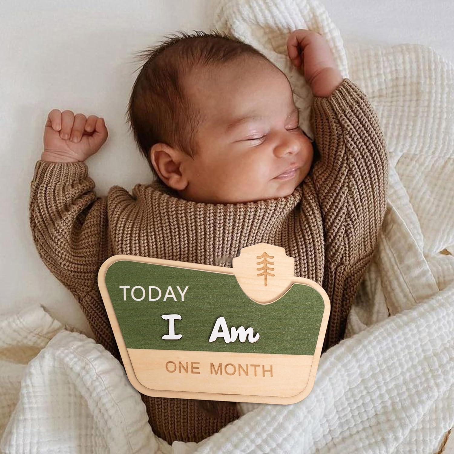 Tarjeta Mensual de Hitos del Bebé CIEQR - Camping 19.3x19.3 cm