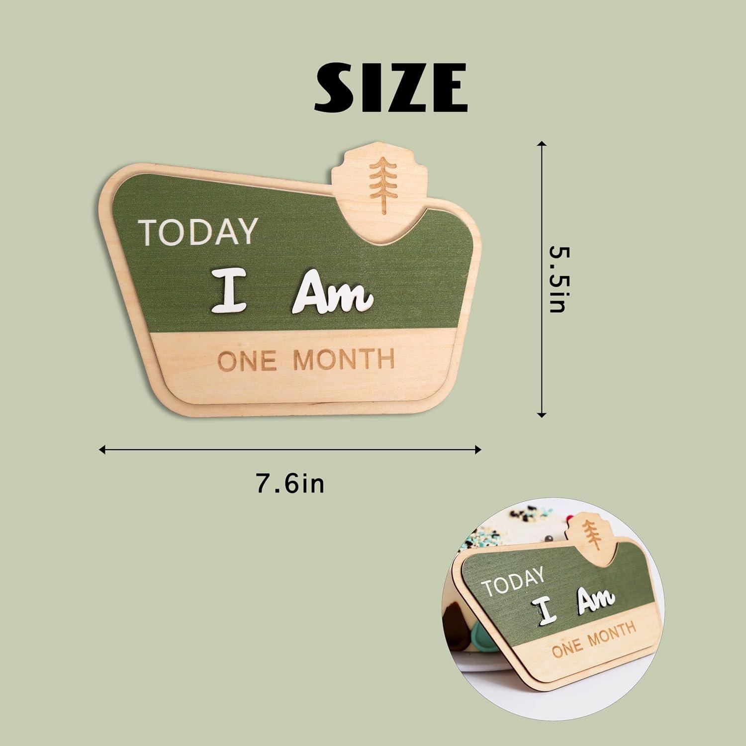 Tarjeta Mensual de Hitos del Bebé CIEQR - Camping 19.3x19.3 cm