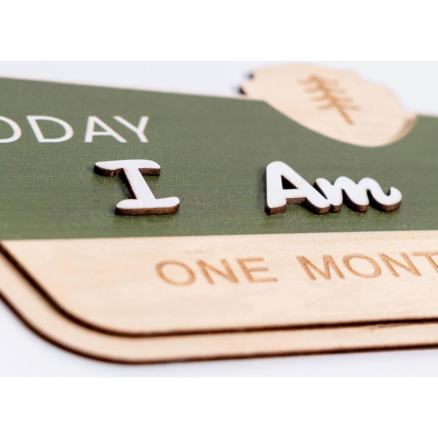 Tarjeta Mensual de Hitos del Bebé CIEQR - Camping 19.3x19.3 cm