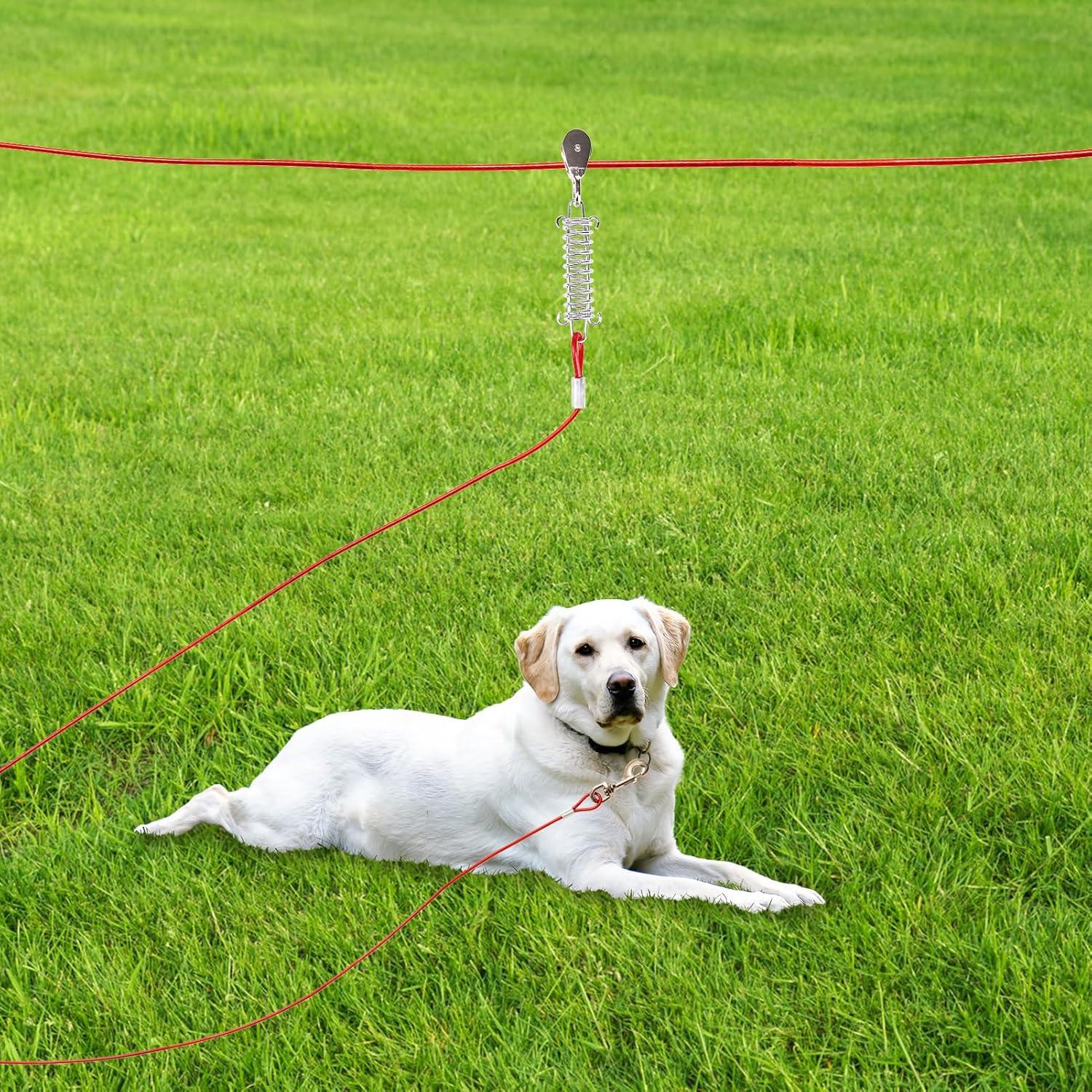 Cable de Atado para Perros PUPTECK 75 pies Rojo Resistente