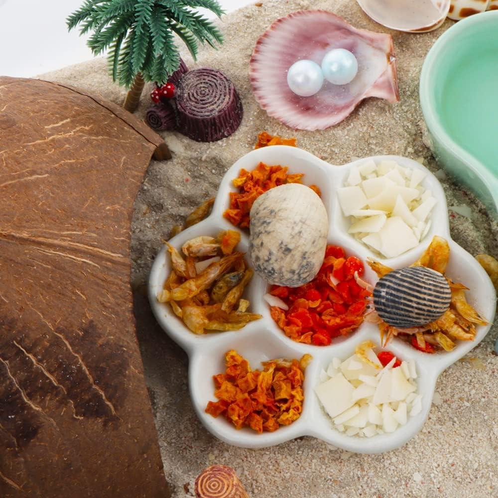 Refugio de Cáscara de Coco DQITJ para Reptiles y Cangrejos