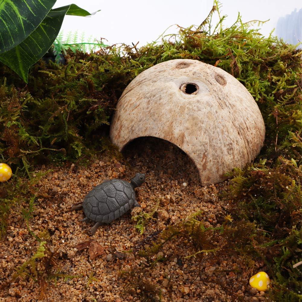 Refugio de Cáscara de Coco DQITJ para Reptiles y Cangrejos
