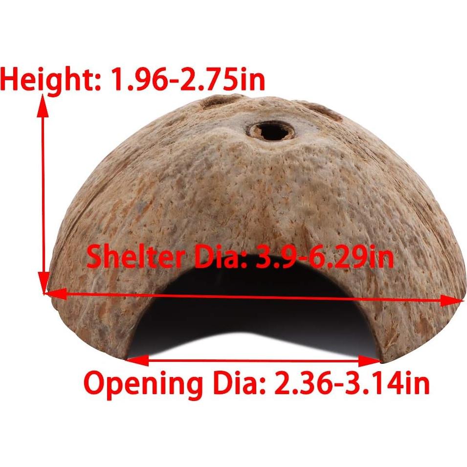 Refugio de Cáscara de Coco DQITJ para Reptiles y Cangrejos