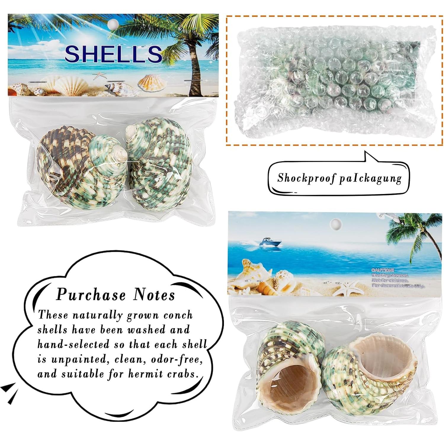 2PCS Conchas Naturales para Cangrejo Ermitaño Fuhai 5-6.6cm