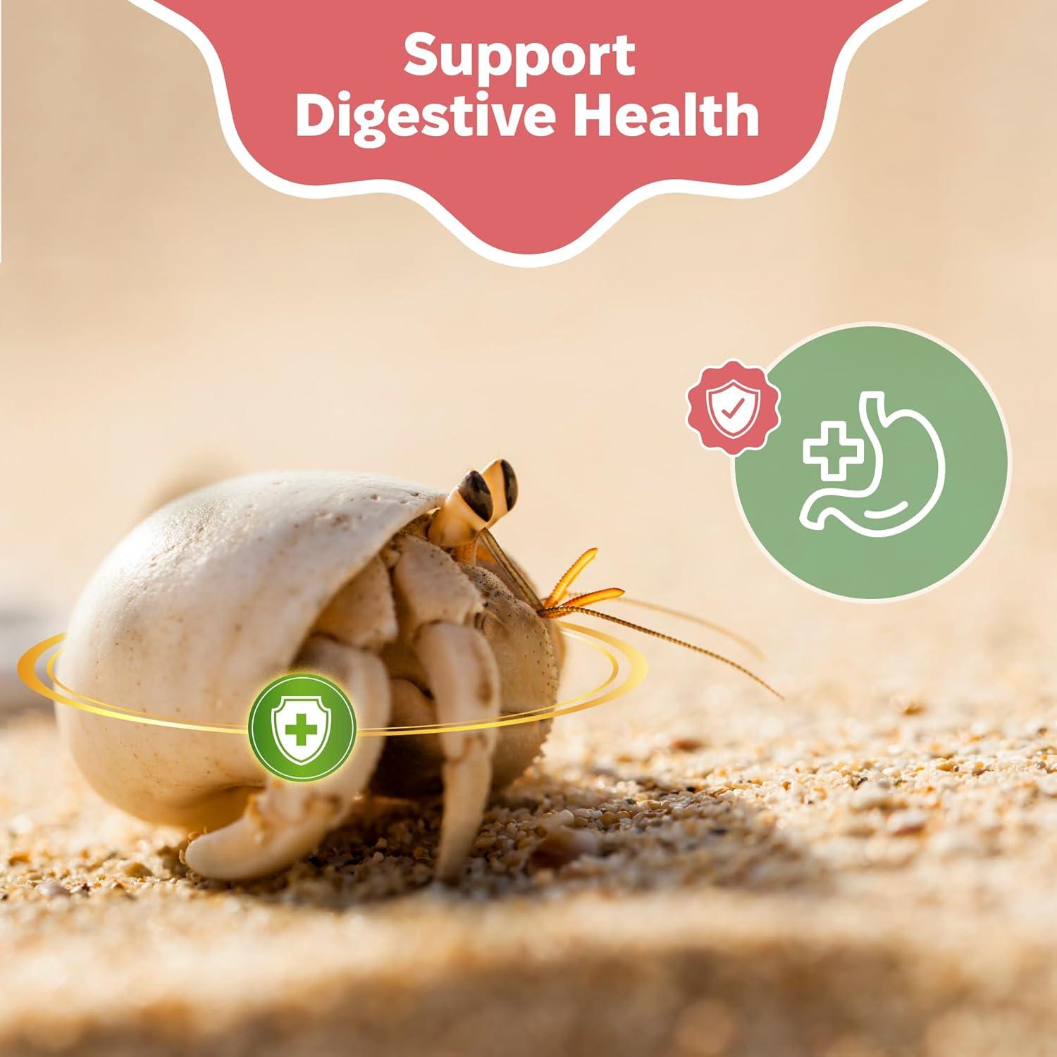 Suplemento de Concha de Ostra Snout and Shell 85g - Calcio Natural