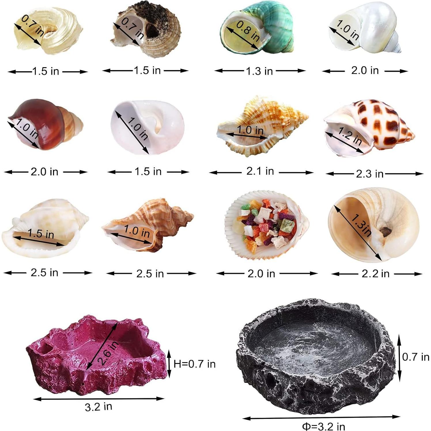 Paquete de 13 Conchas de Cangrejo Ermitaño SINKOO + 2 Tazones