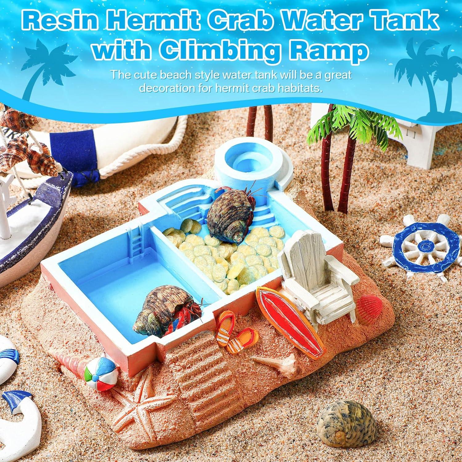 Tazón de Agua para Cangrejo Ermitaño Gerrii, 20x17 cm