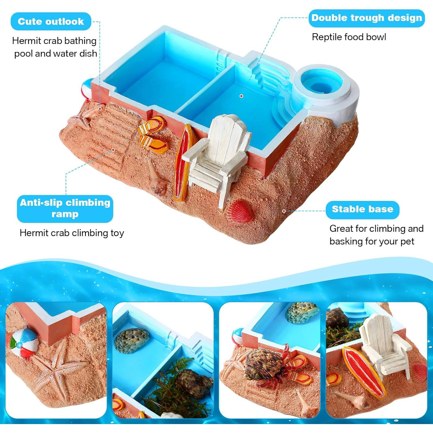 Tazón de Agua para Cangrejo Ermitaño Gerrii, 20x17 cm