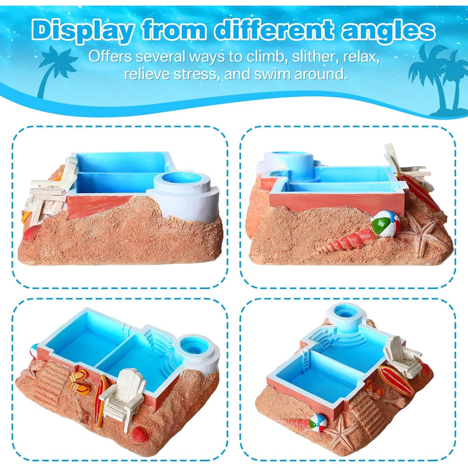 Tazón de Agua para Cangrejo Ermitaño Gerrii, 20x17 cm