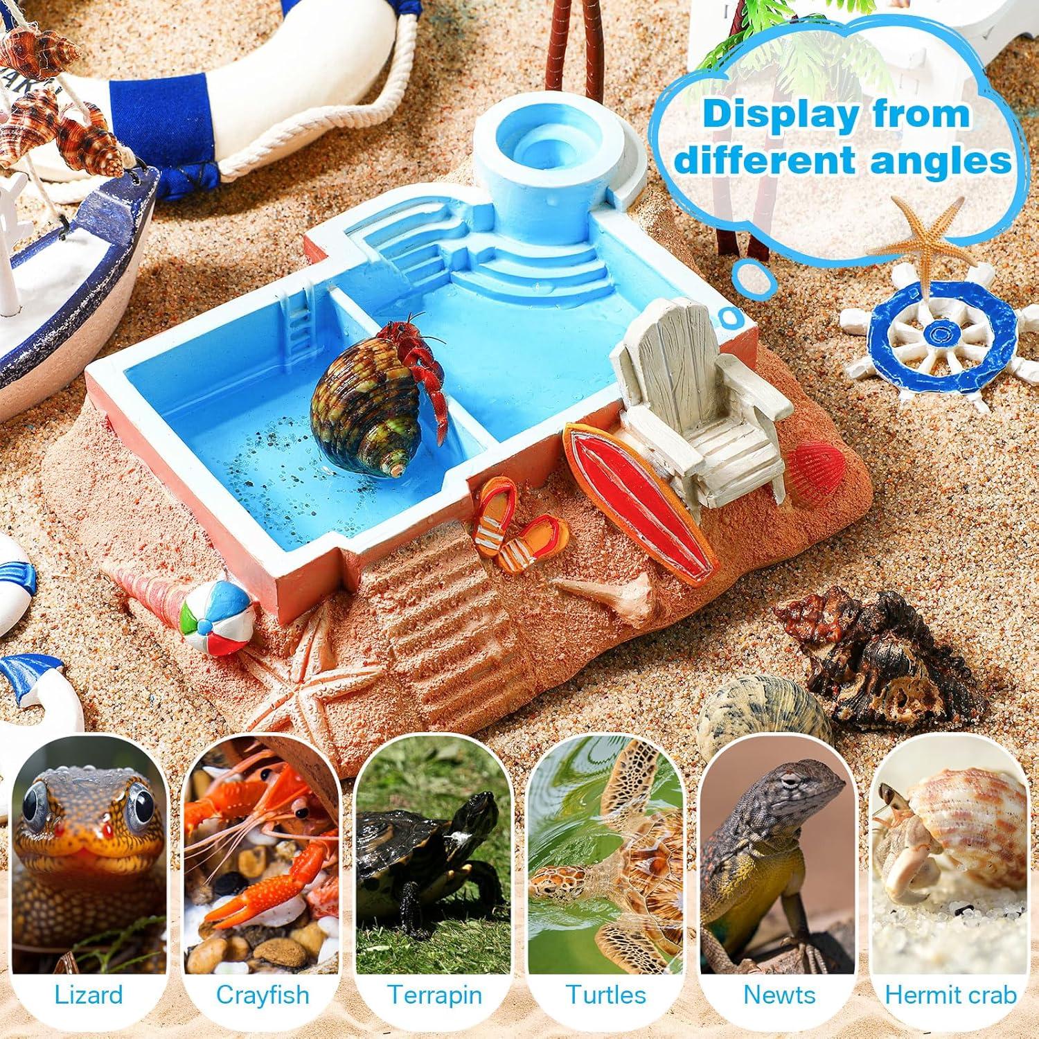 Tazón de Agua para Cangrejo Ermitaño Gerrii, 20x17 cm