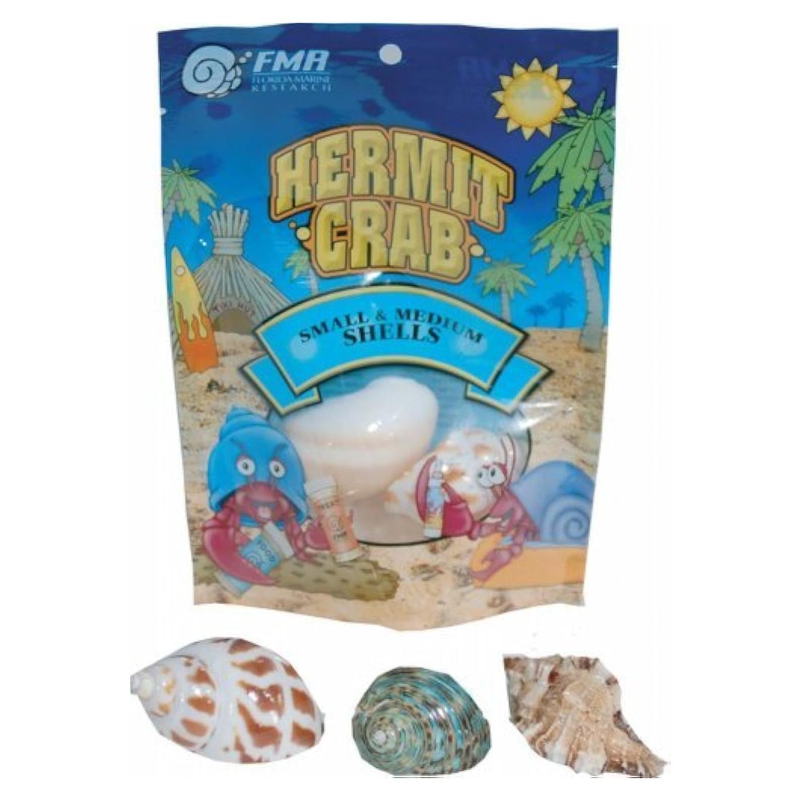 Conchas de Cangrejo Ermitaño Medianas Phillips - 3 Piezas