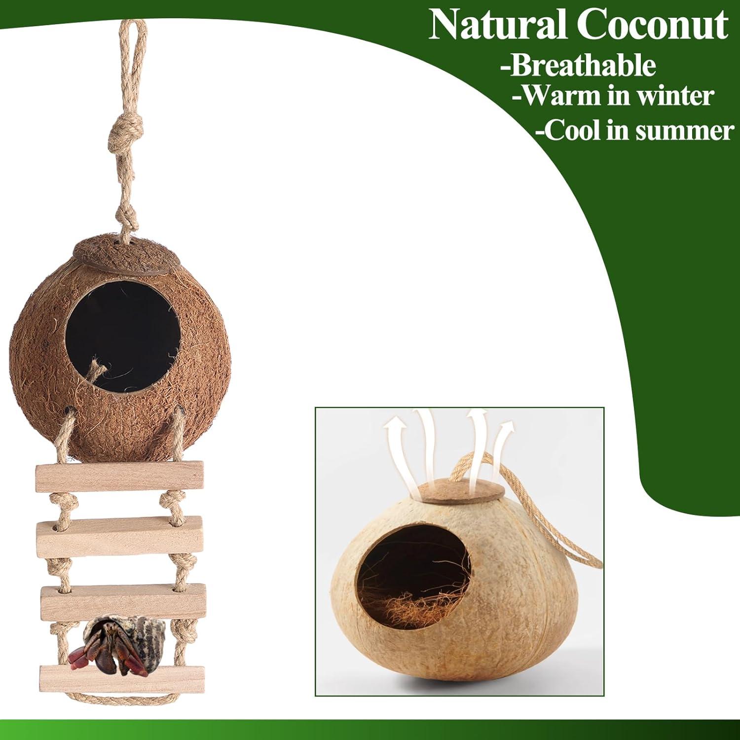 Casa de Coco Natural HERCOCCI para Gecko y Reptiles 6.1cm