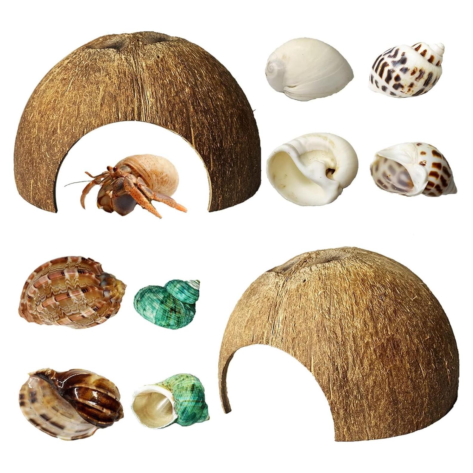 Refugios Naturales para Cangrejos Ermitaños Kathson - 10 Pcs