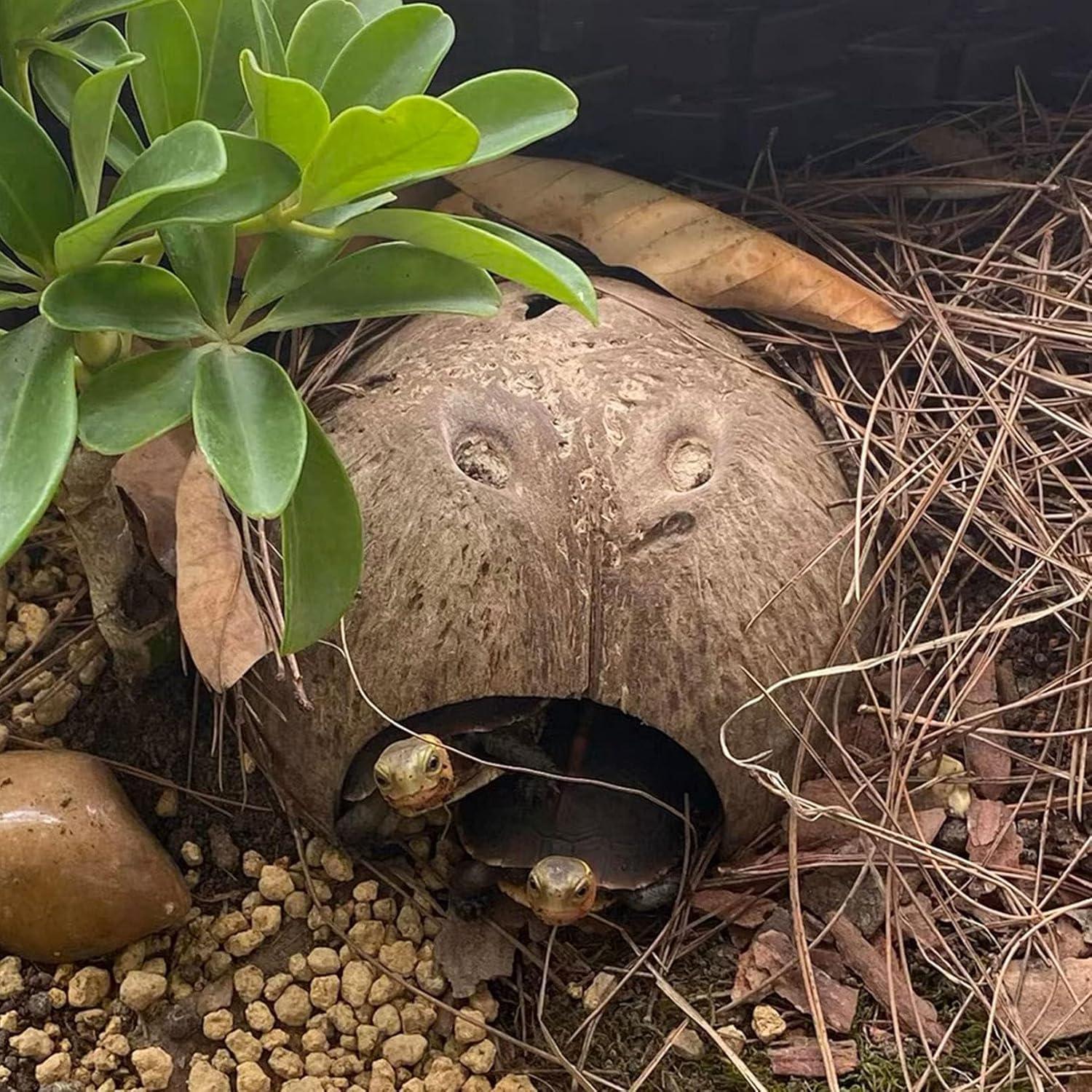 Refugios Naturales para Cangrejos Ermitaños Kathson - 10 Pcs