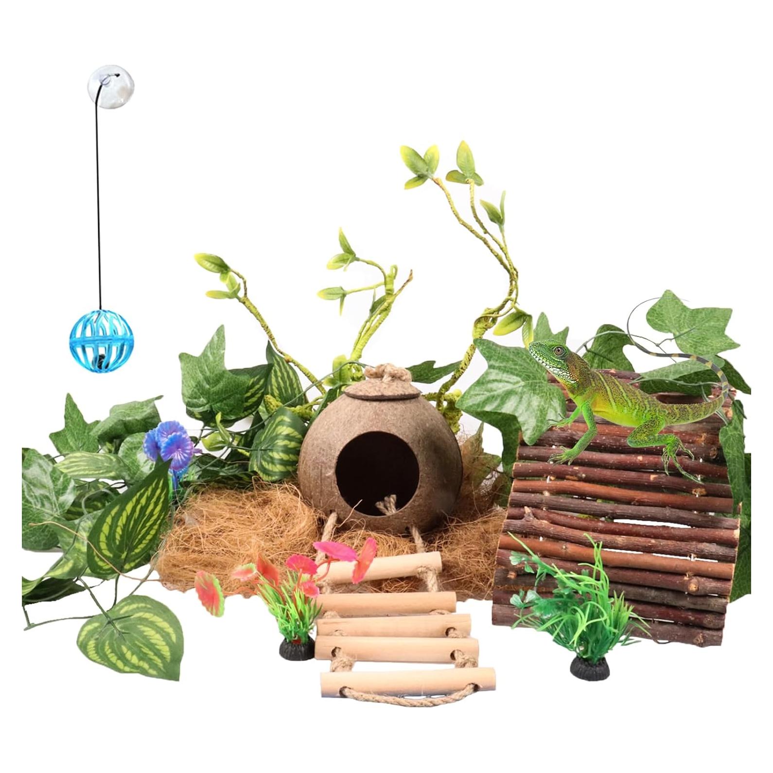 Accesorios para Terrario RUNANIA: Cabaña de Coco y Vides