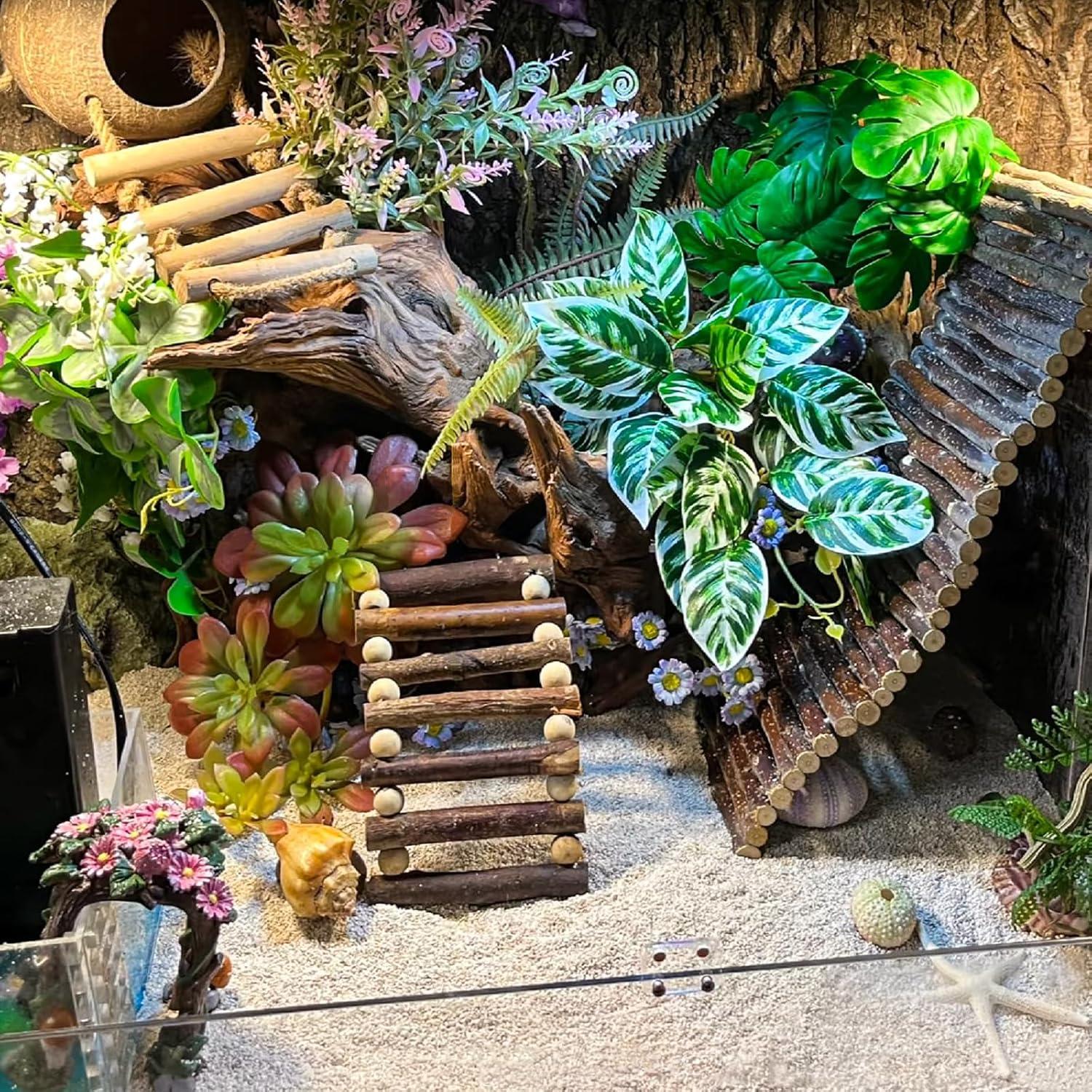 Accesorios para Terrario RUNANIA: Cabaña de Coco y Vides