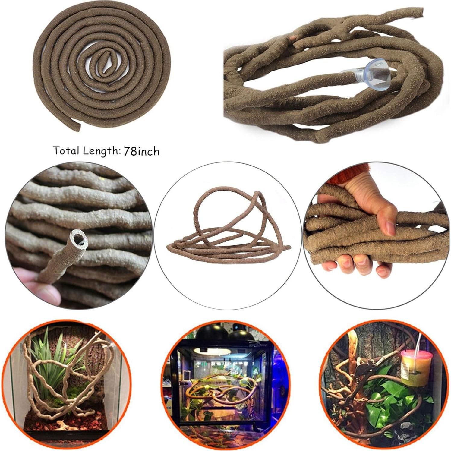 Kit de Decoración para Reptiles 6PCS Kathson - Refugio Coco y Vides