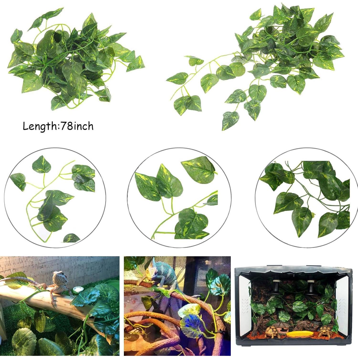 Kit de Decoración para Reptiles 6PCS Kathson - Refugio Coco y Vides