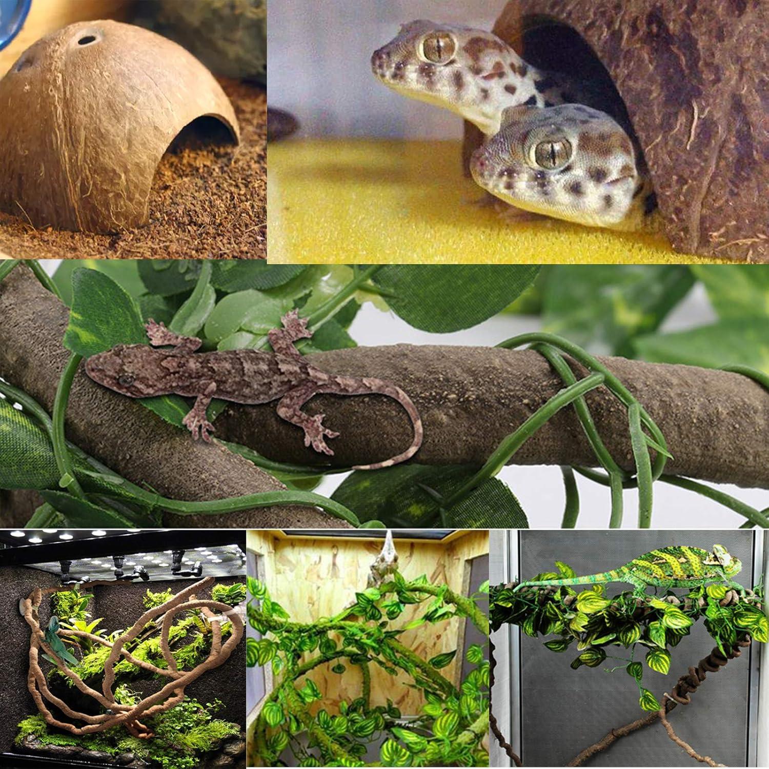 Kit de Decoración para Reptiles 6PCS Kathson - Refugio Coco y Vides