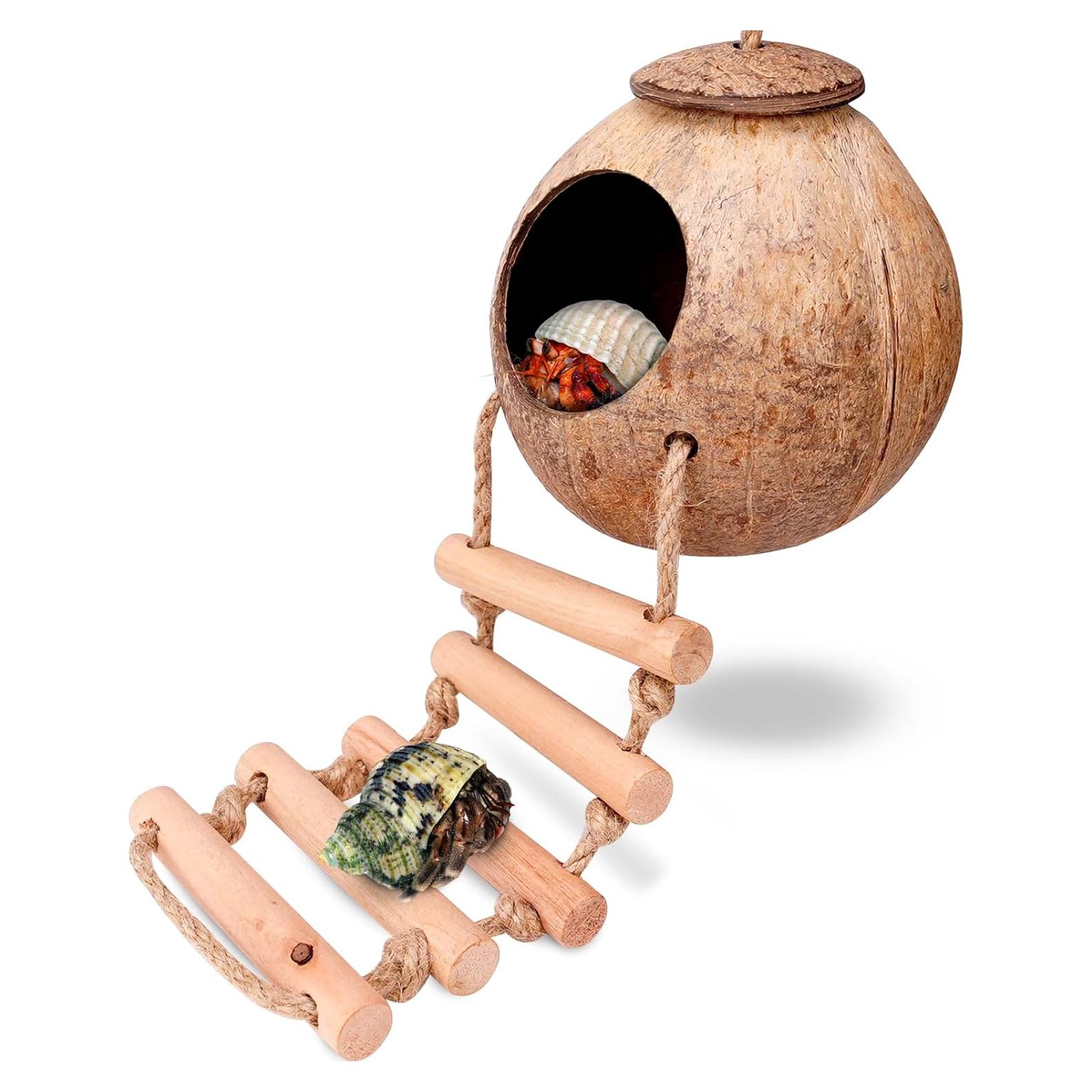 Casa de Coco Natural para Cangrejo Ermitaño U0U 13x13x17cm