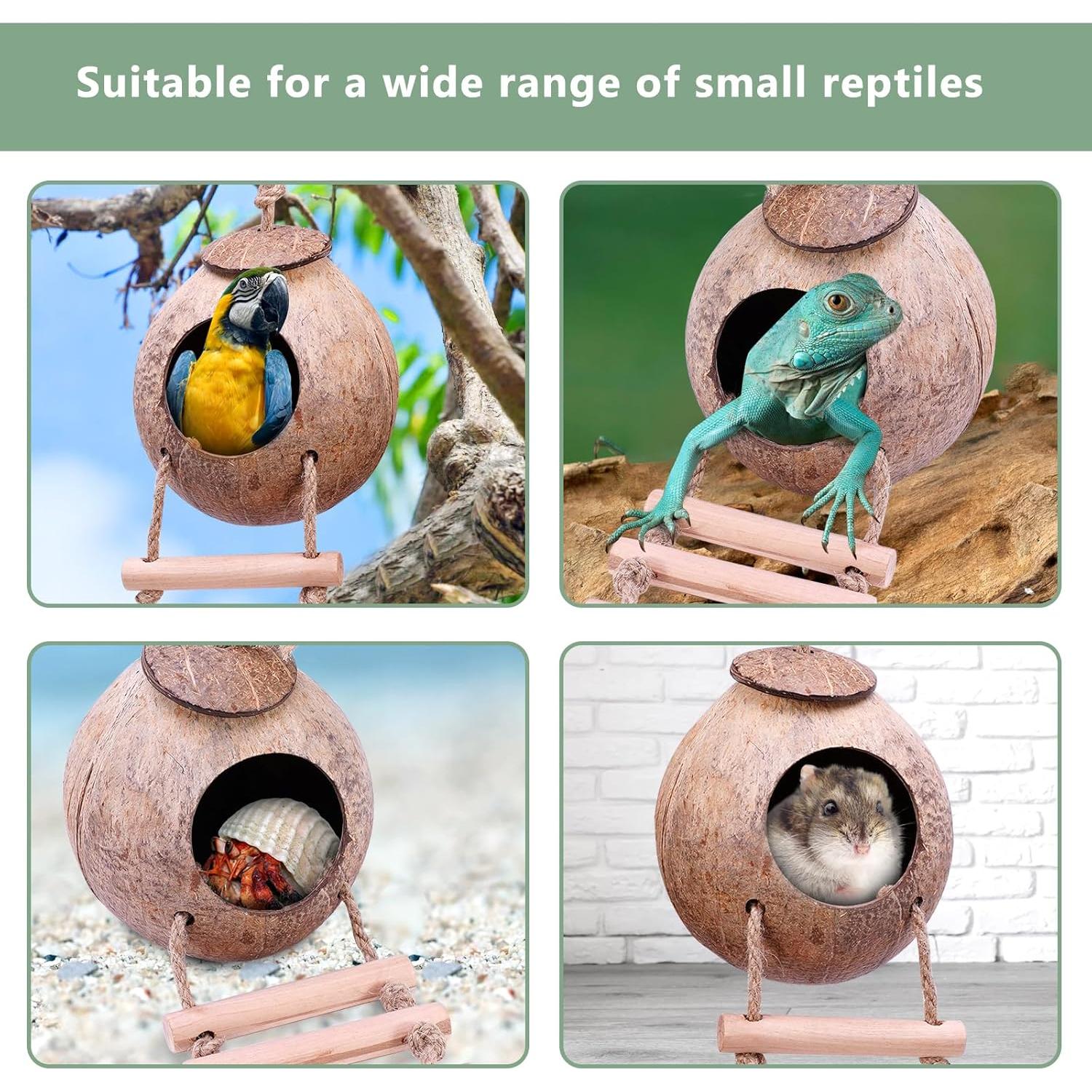 Casa de Coco Natural para Cangrejo Ermitaño U0U 13x13x17cm