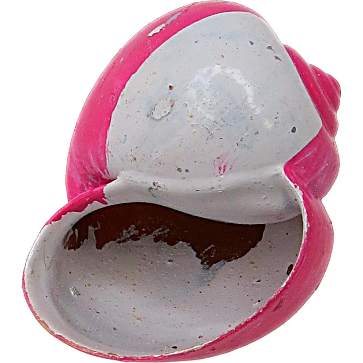 Conchas de Cangrejo Ermitaño Pintadas a Mano Needzo - 5.08 cm, Paquete de 2