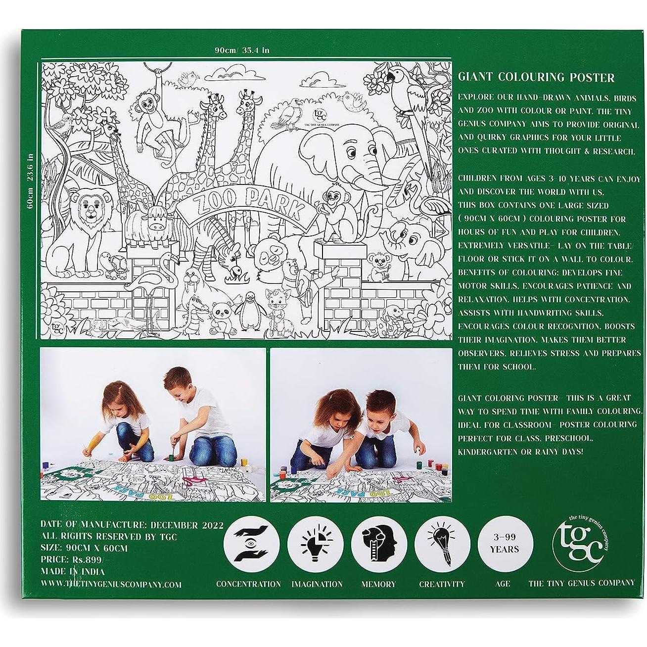 Póster para Colorear Jumbo TGC Reino Animal 90x60 cm Educativo