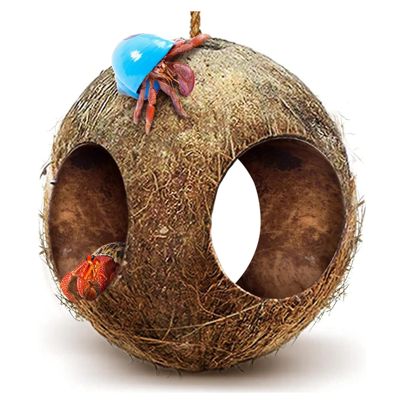 Casa de Cangrejo Ermitaño SunGrow de Coco 11.4 cm con Asa