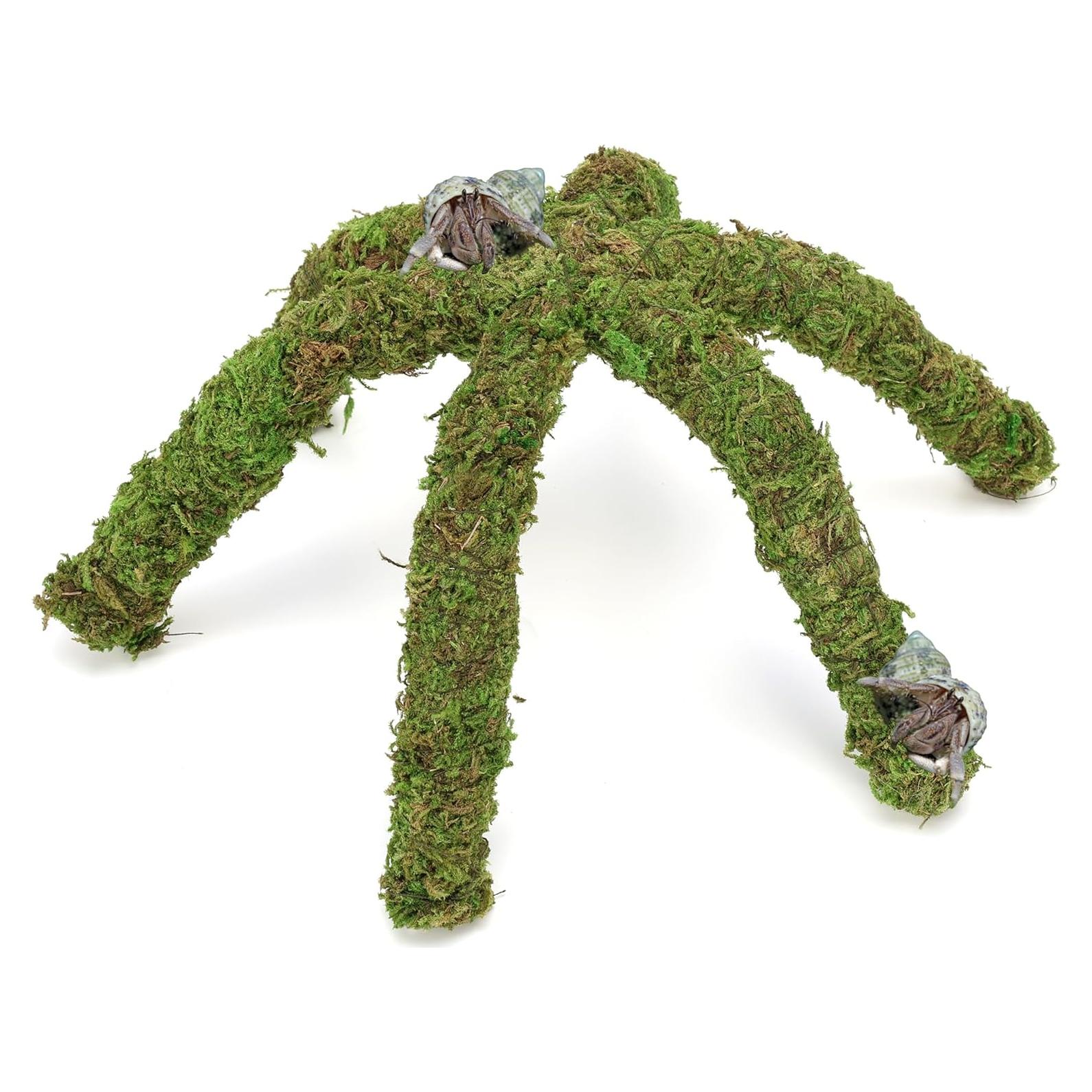 Juguete de Escalada para Cangrejos Ermitaños USMOLA 30x2x2cm Verde