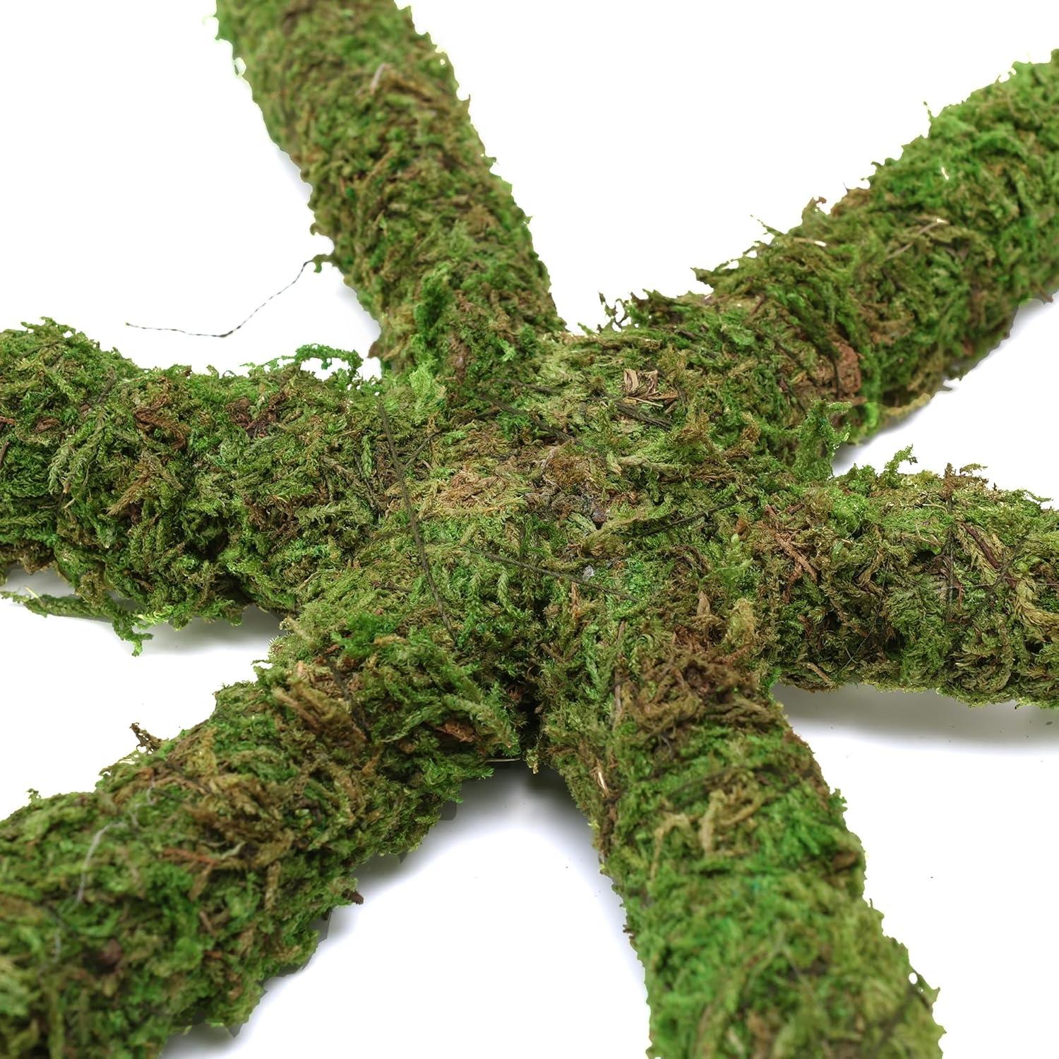 Juguete de Escalada para Cangrejos Ermitaños USMOLA 30x2x2cm Verde