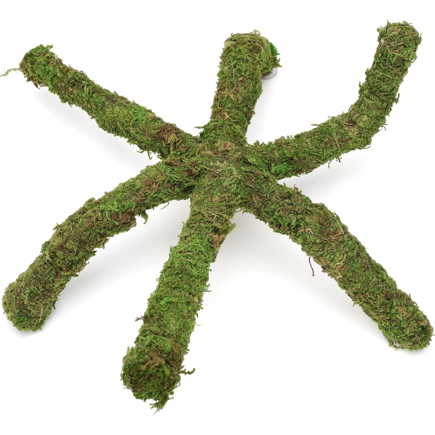 Juguete de Escalada para Cangrejos Ermitaños USMOLA 30x2x2cm Verde