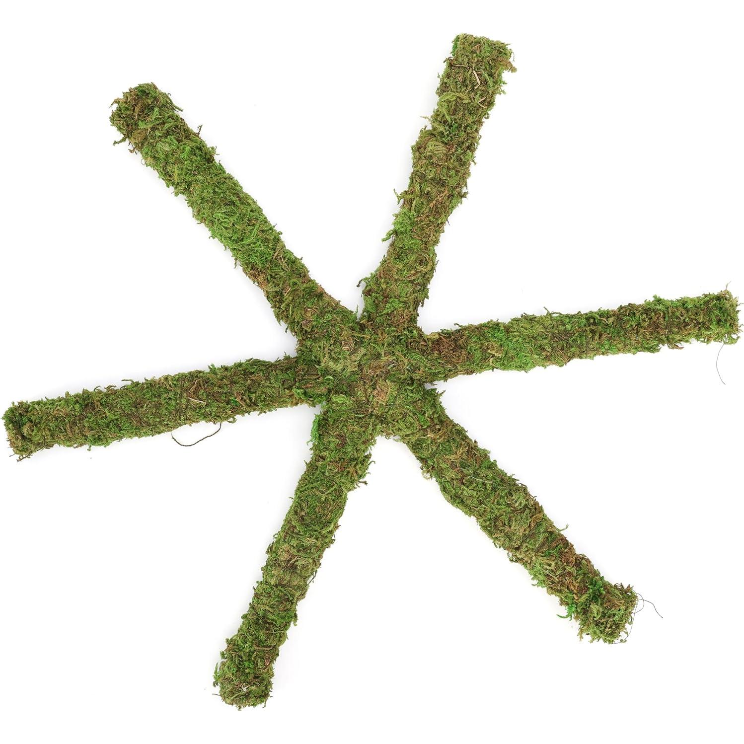 Juguete de Escalada para Cangrejos Ermitaños USMOLA 30x2x2cm Verde