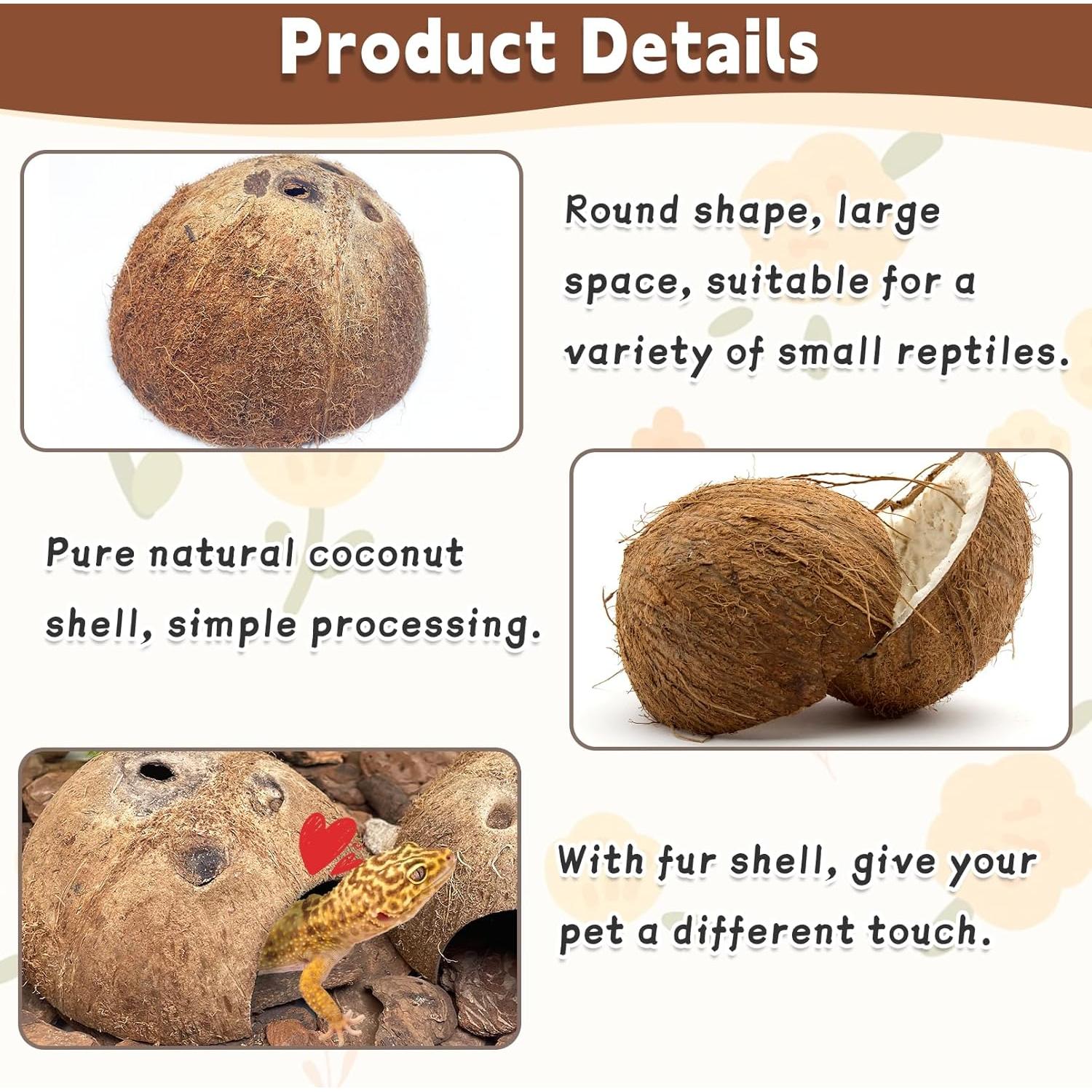 Escondite de Coco Natural PINVNBY para Reptiles 4 PCS