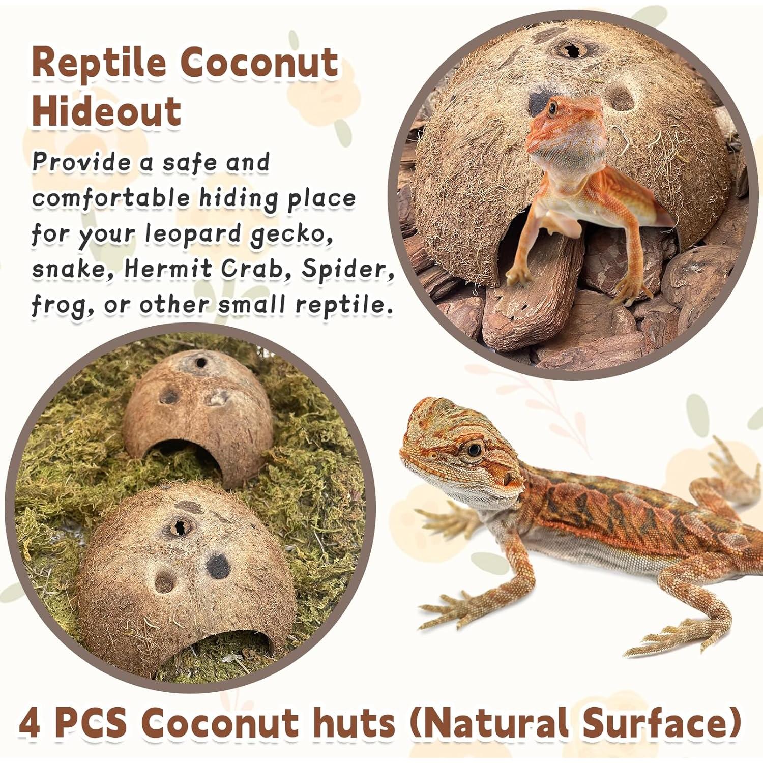 Escondite de Coco Natural PINVNBY para Reptiles 4 PCS