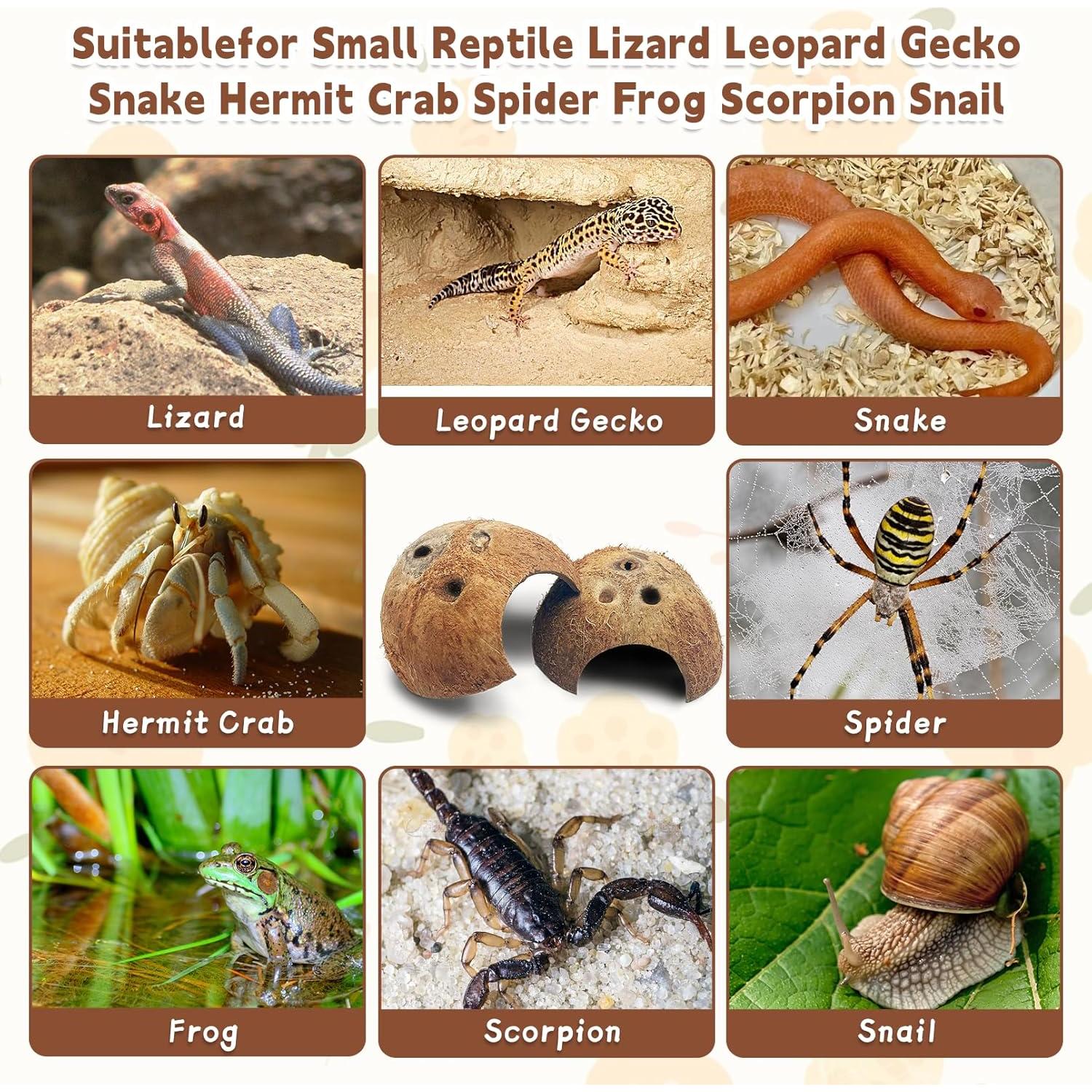 Escondite de Coco Natural PINVNBY para Reptiles 4 PCS