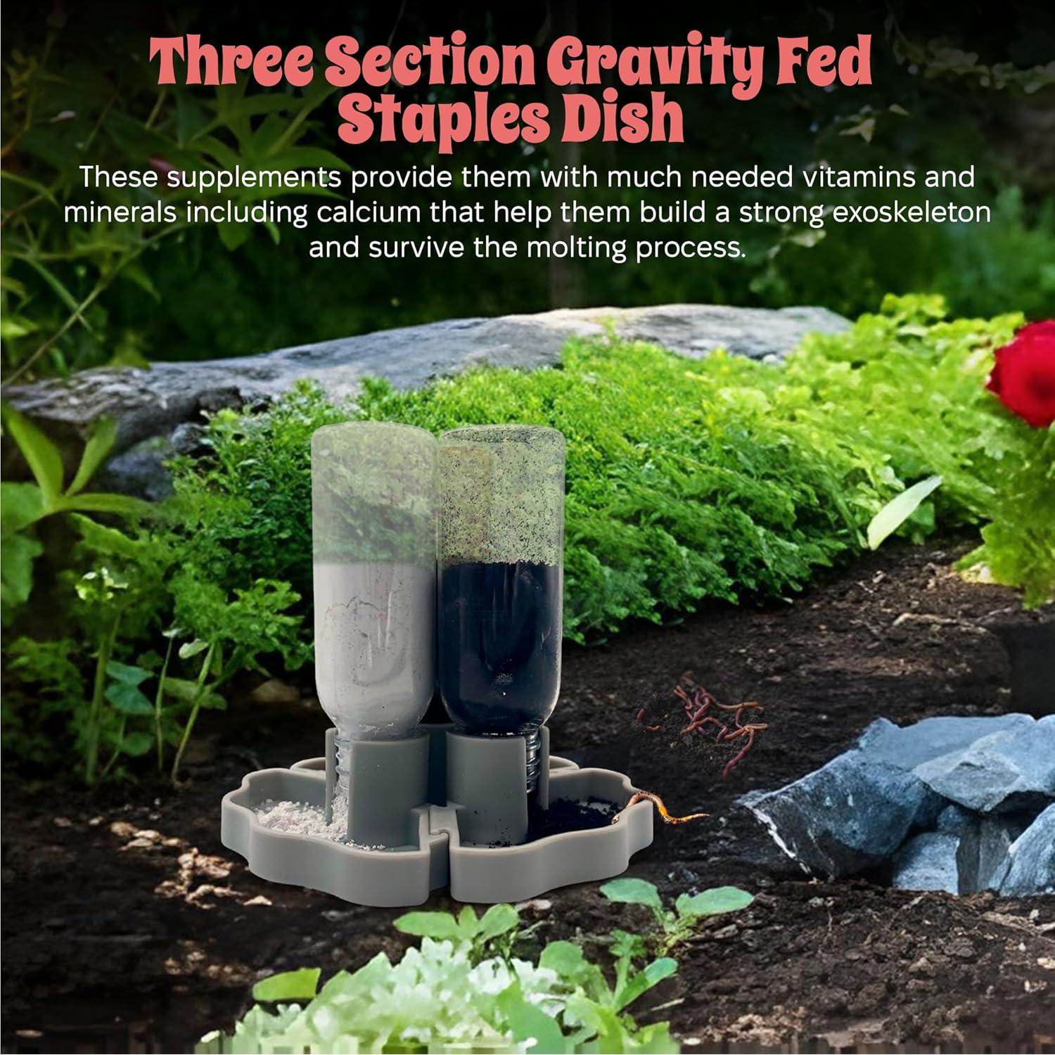 Comedero de Gravedad para Cangrejos Ermitaños Snout and Shell - Gris